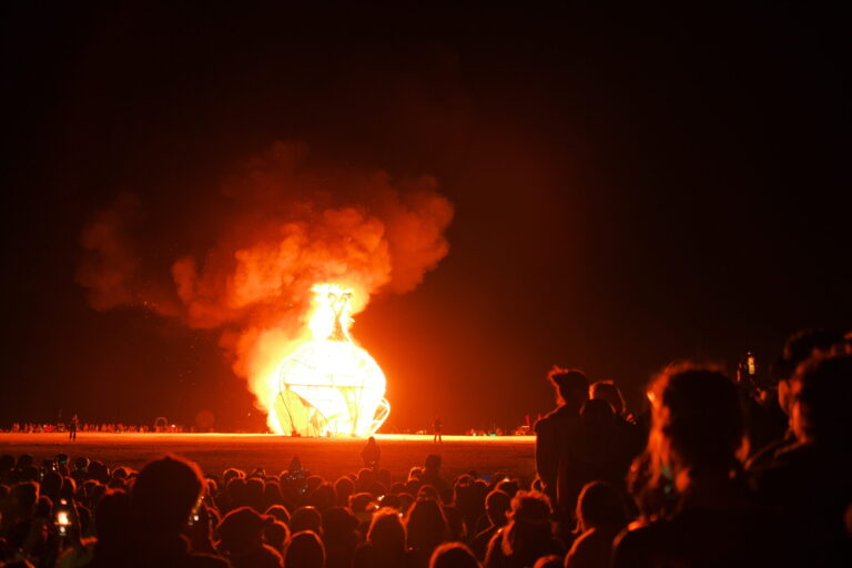 The AfrikaBurn Membership Needs You!